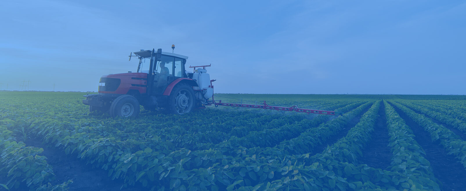 イノベーションを、起こす